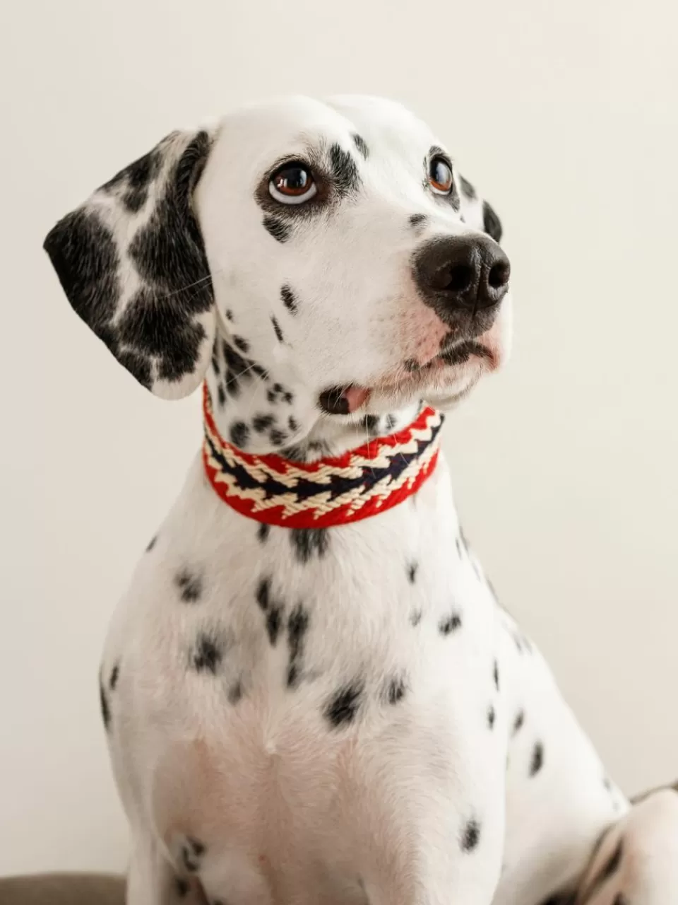 Buddys Dogwear Handgemaakte huisdierhalsband Peruvian Arrow, in verschillende formaten | Decoratie | Huisdieren