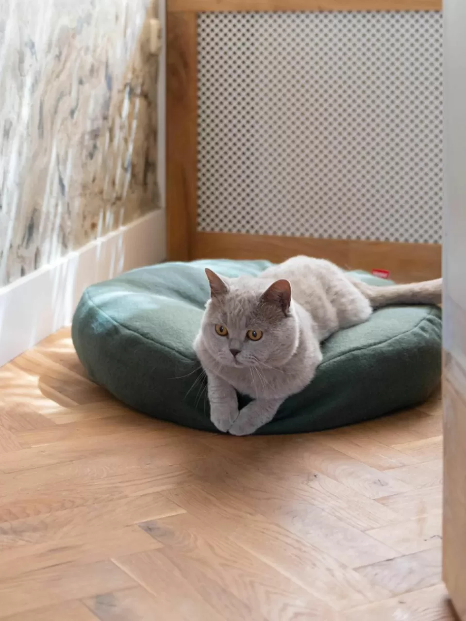 Hoopo Kattenmand Donut | Huisdieren | Decoratie