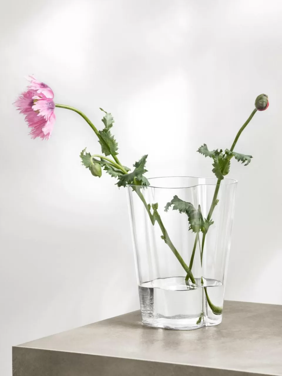 iittala Mondgeblazen vazen Alvaro Aalto, set van 2 | Vazen | Vazen