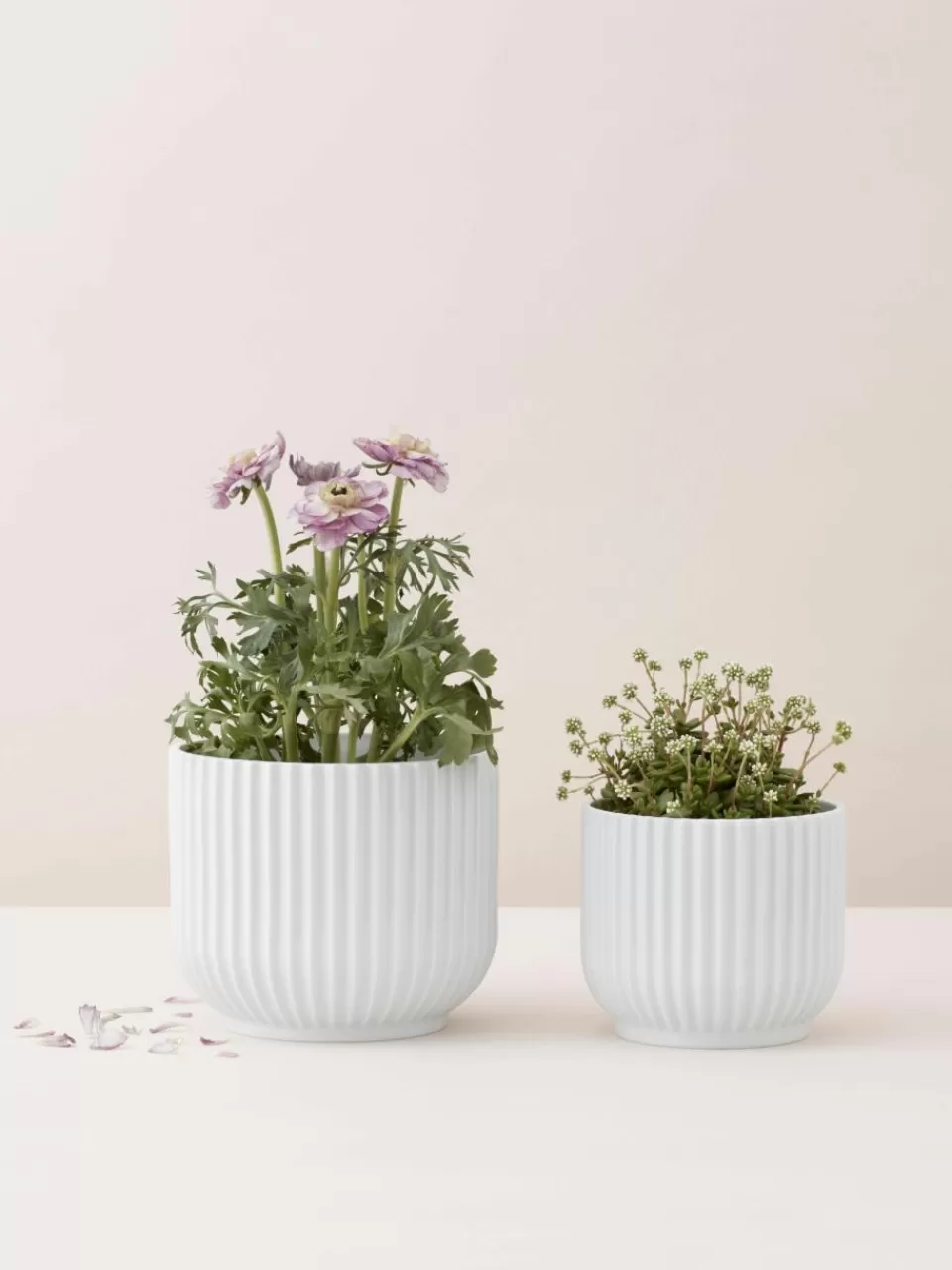 Lyngby Porcelaen Porseleinen plantenpot Lyngby, H 11 cm | Plantenbakken | Bloempotten